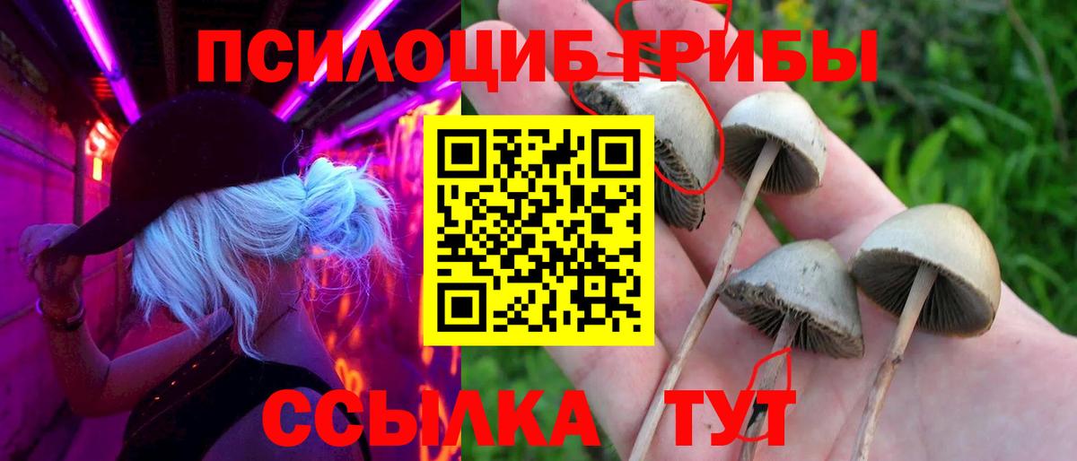 Заводоуковск  Псилоцибиновые грибы мицелий  как найти закладки  Вход с VPN 