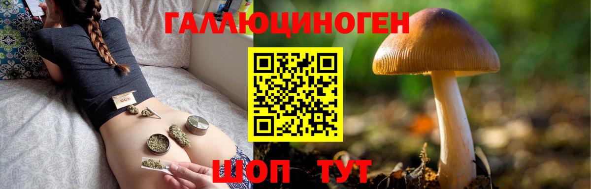 Псилоцибиновые грибы MAGIC MUSHROOMS Заводоуковск